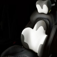 Car Lumbar Cushion